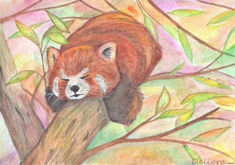 Рисунок на тему животн