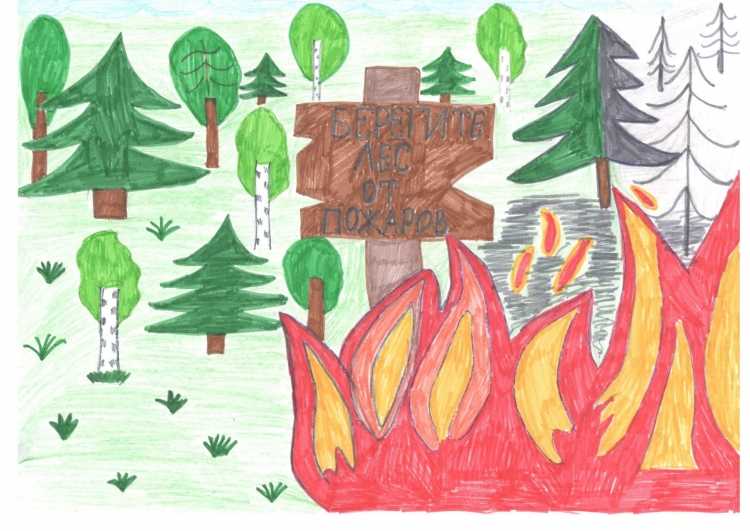 Рисунок на тему берегите лес