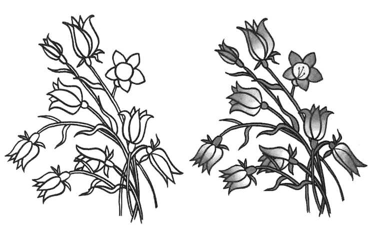 Колокольчик цветок раскраска для детей