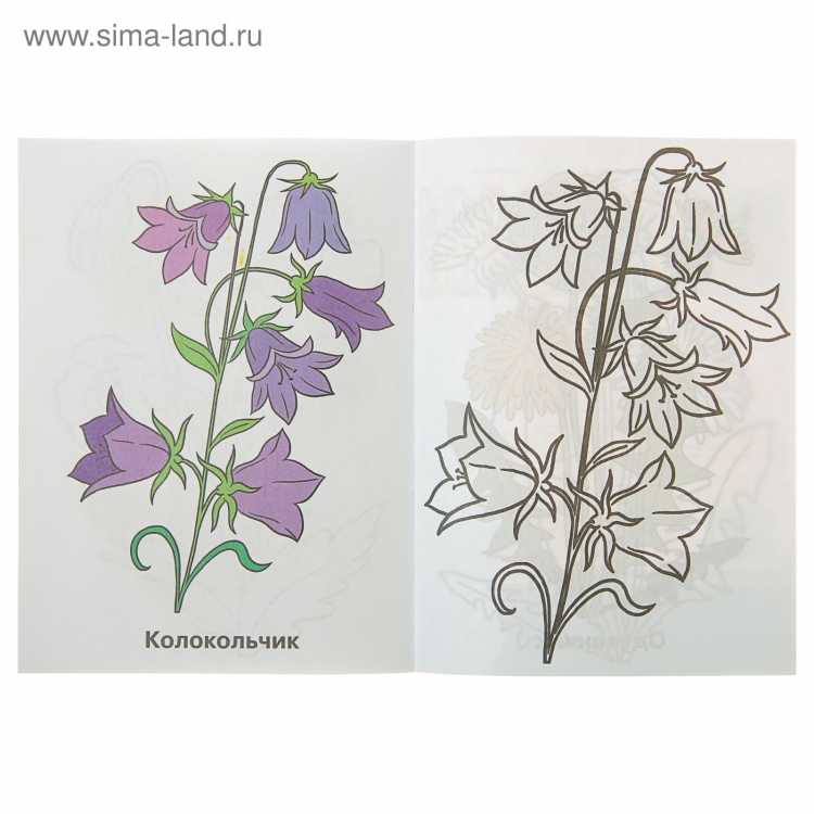 Стебель колокольчика