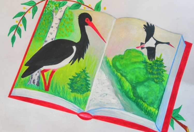 Рисунок на тему красная книга
