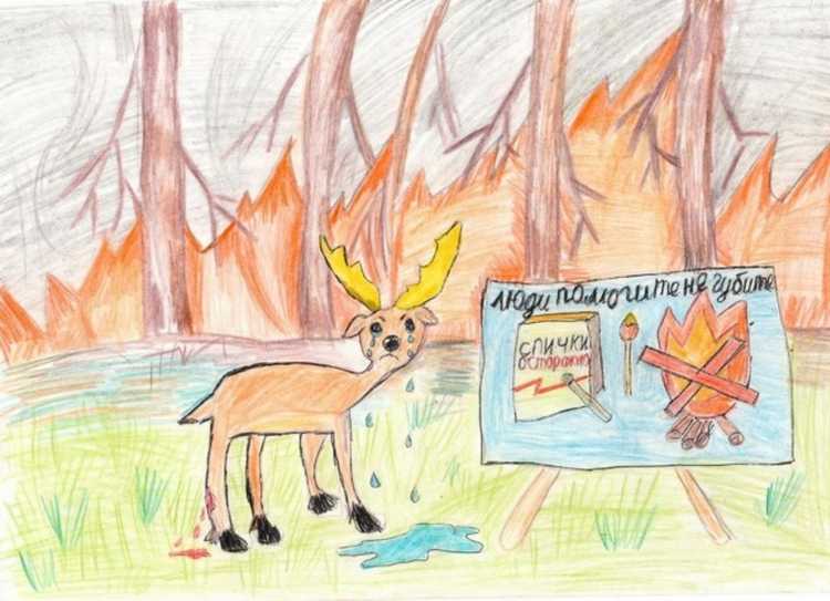 Нет лесным пожарам рисунки