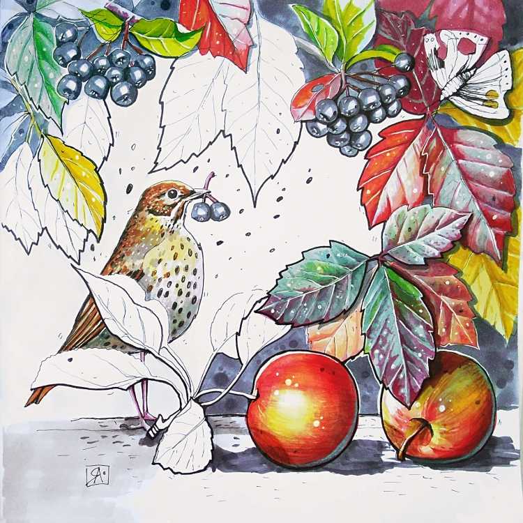 Натюрморт дары осени подготовительная