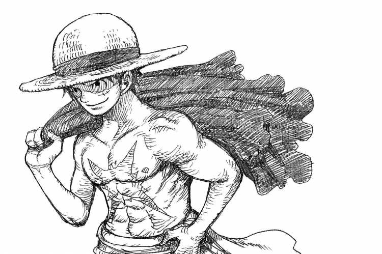 Луффи скетч