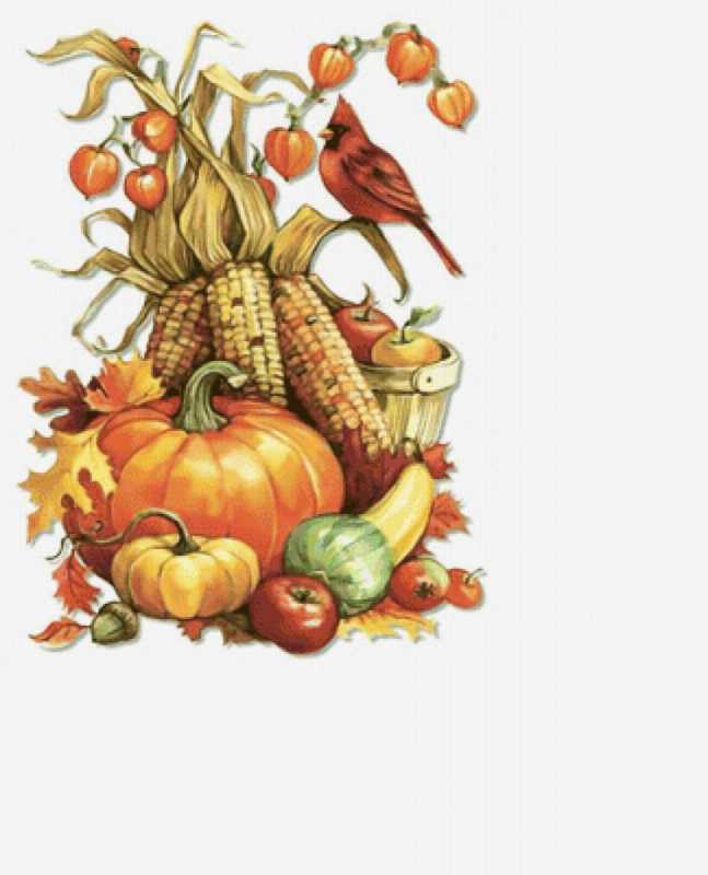 Дары осени скетч