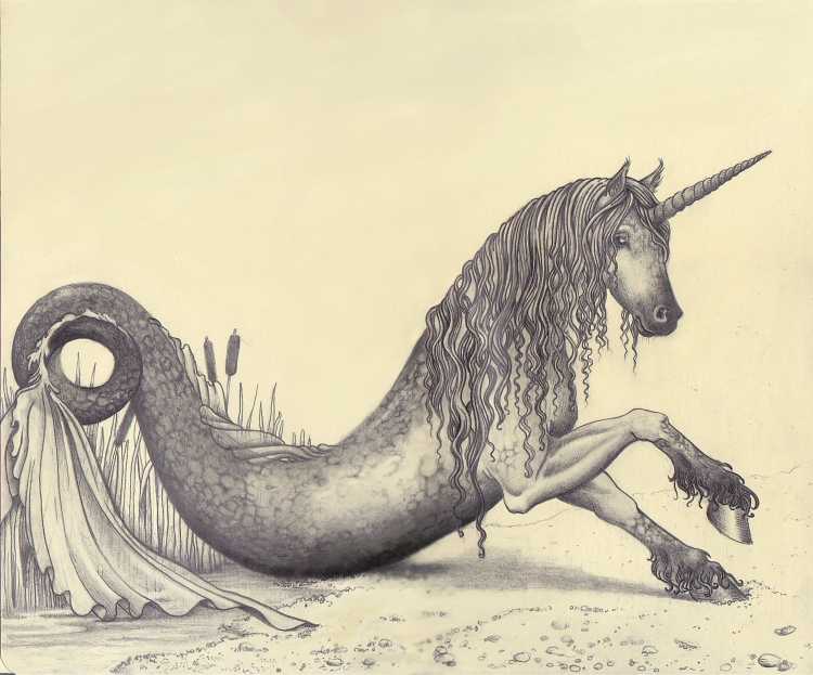 Келпи лошадь Гиппокампус