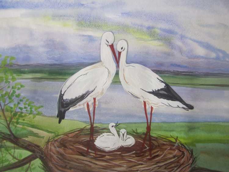 Аист в гнезде рисунок