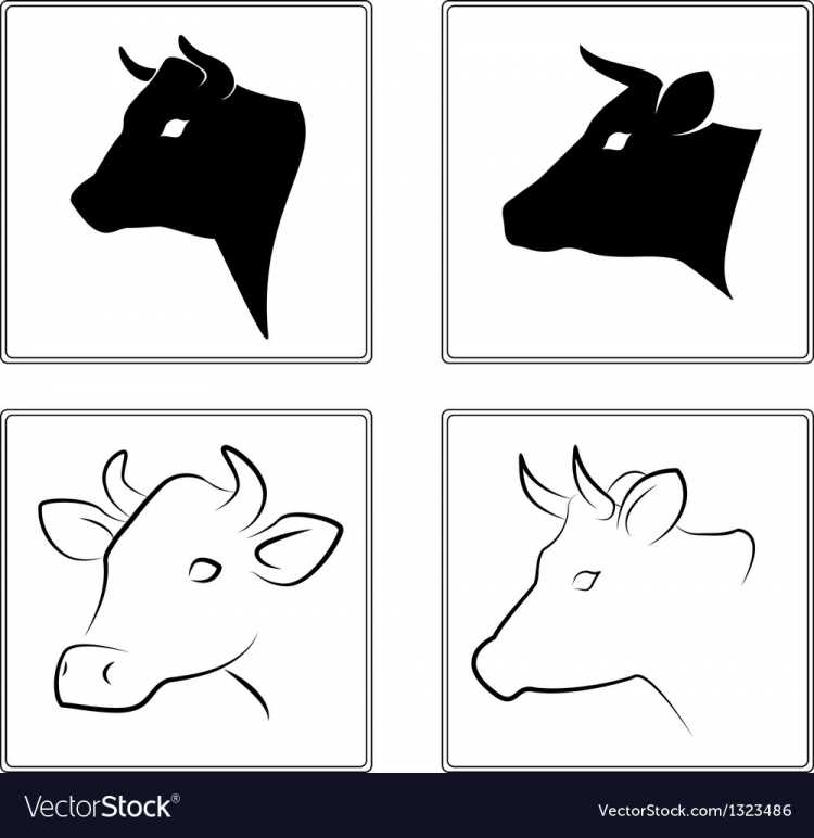 Морда коровы силуэт