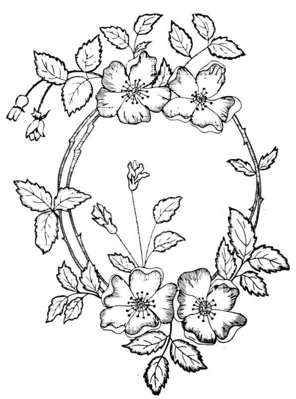 Эскизы для вышивки