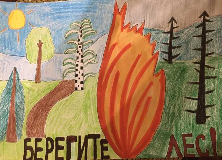 Сохраним лес от пожара рисунки