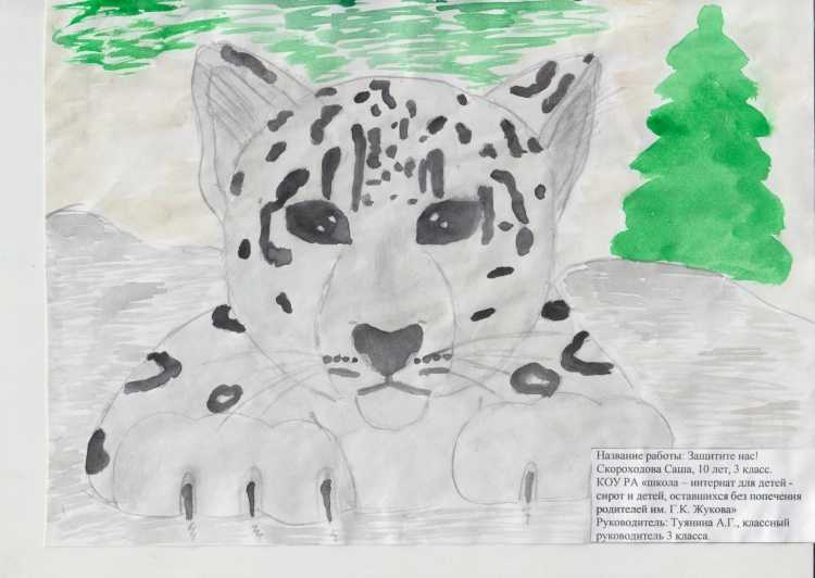 Рисунки на конкурс животные красной книги