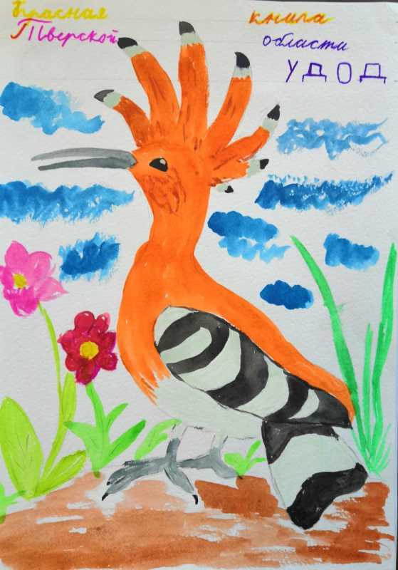 Конкурс рисунков красная книга
