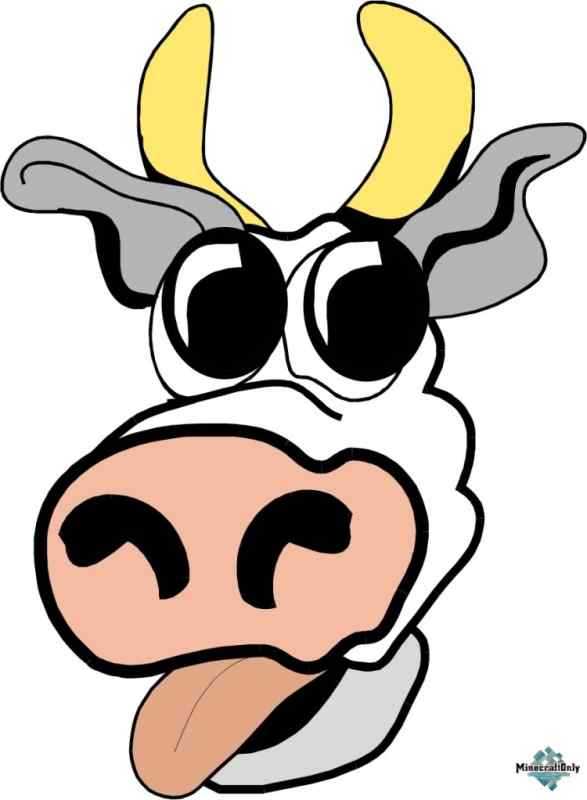 Смешная морда коровы