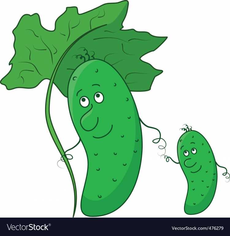 Огурцы на грядке мультяшные