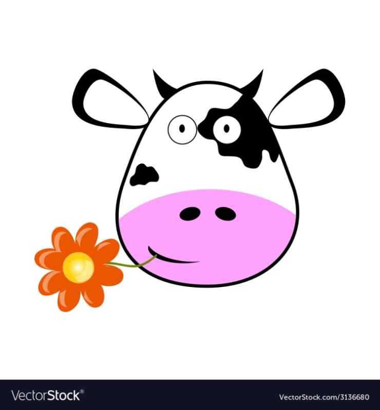 Круглая морда коровы