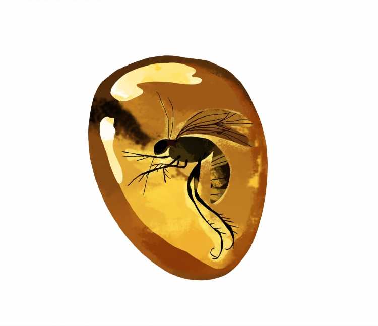 Янтарь с насекомыми акварель