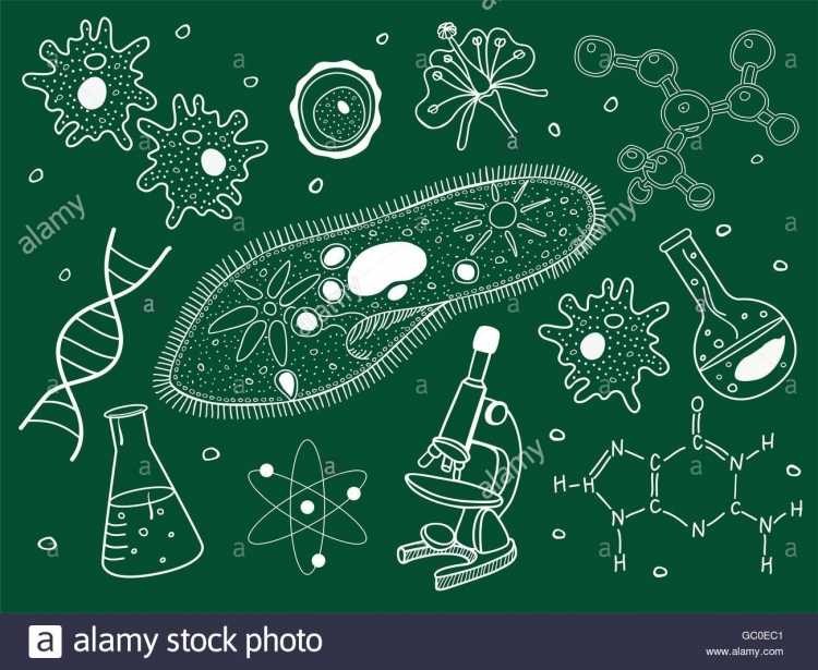Химия биология фон