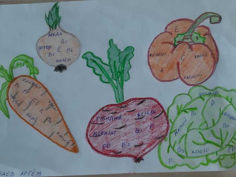 Правильное питание залог здоровья рисунок