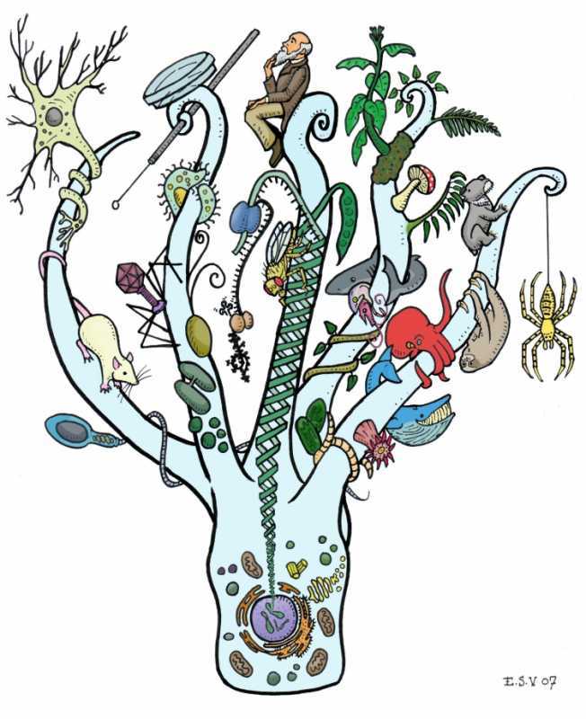 Наука рисунок