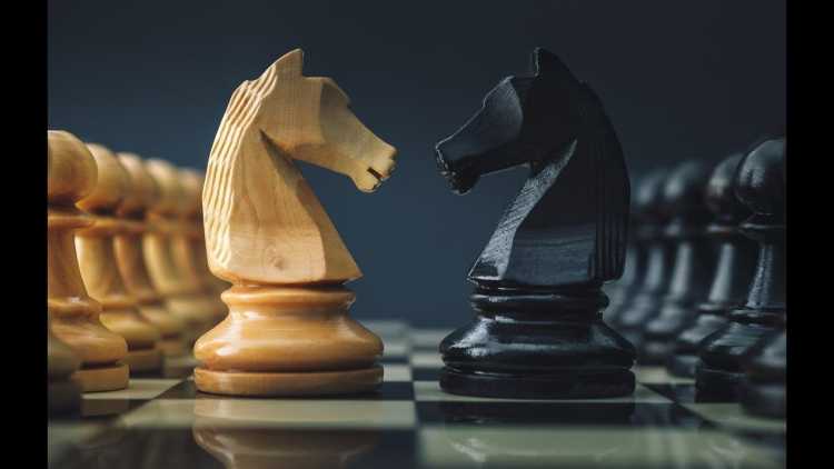 Шахматный конь