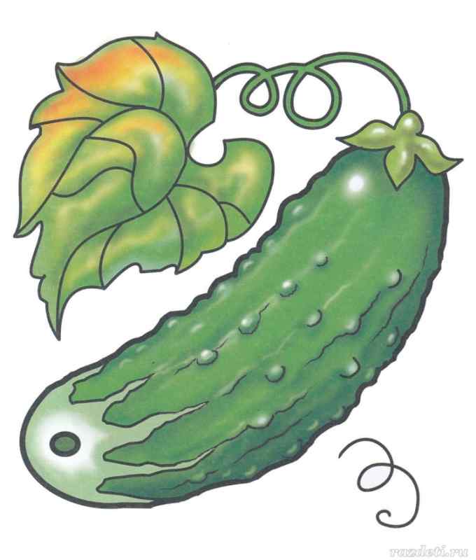 Огурец мультяшный