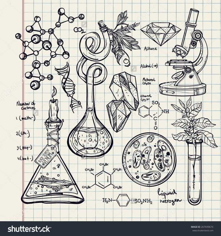 Рисунки на тему биология
