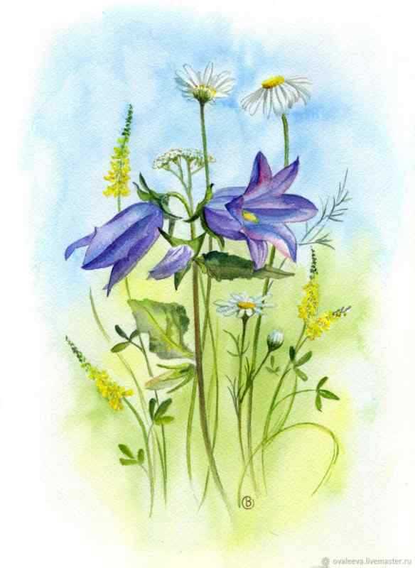 Колокольчик цветок для детей