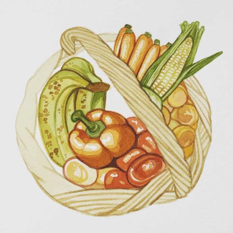 Рисунки еды