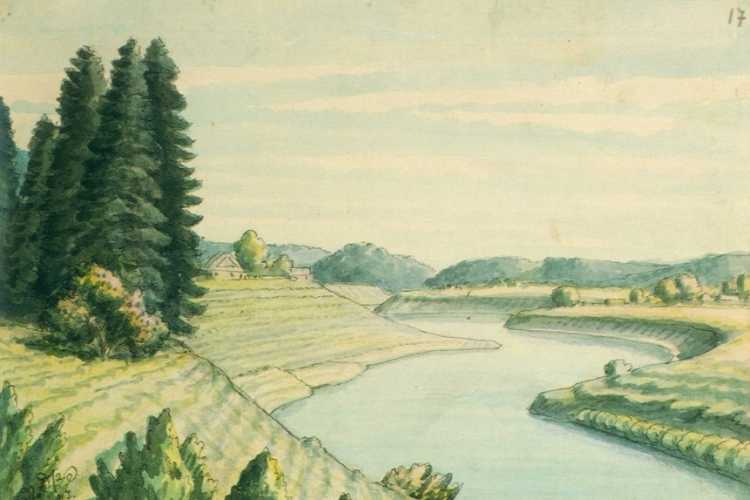 День мира рисунки