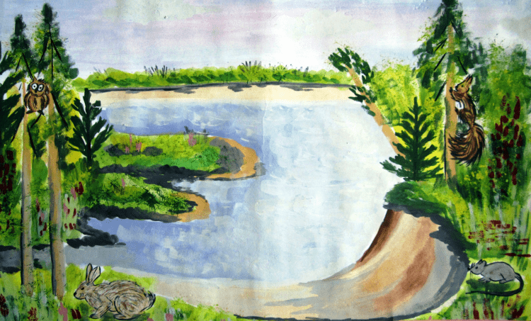 Конкурс рисунков о природе