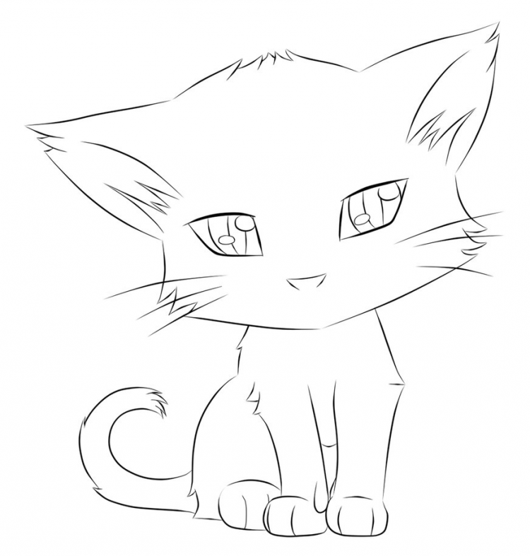 Котики для срисовки карандашом