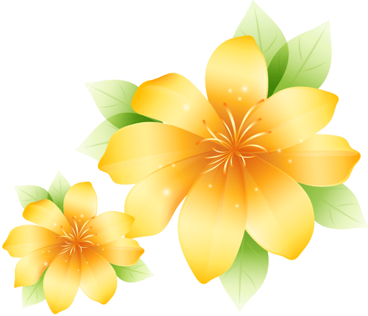 Желтые цветы на прозрачном фоне