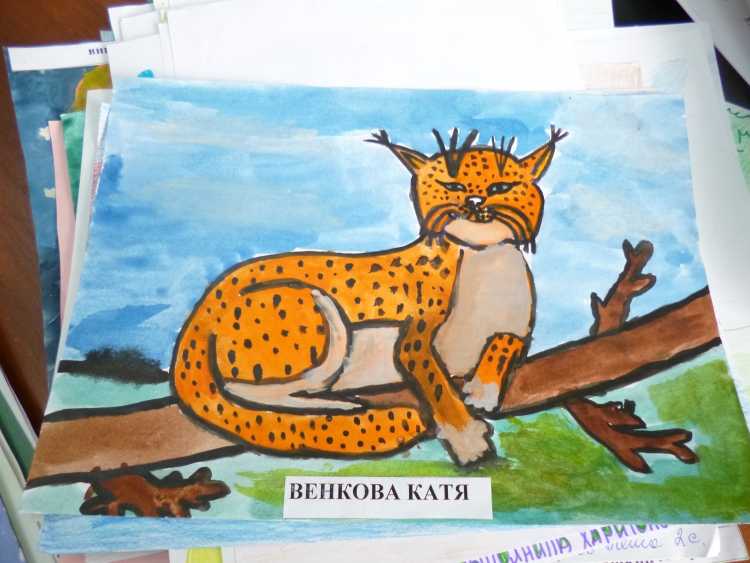 Рисунок в мире животных конкурс