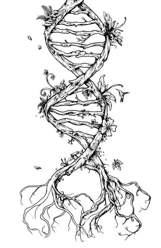 Украсить тетрадь по биологии