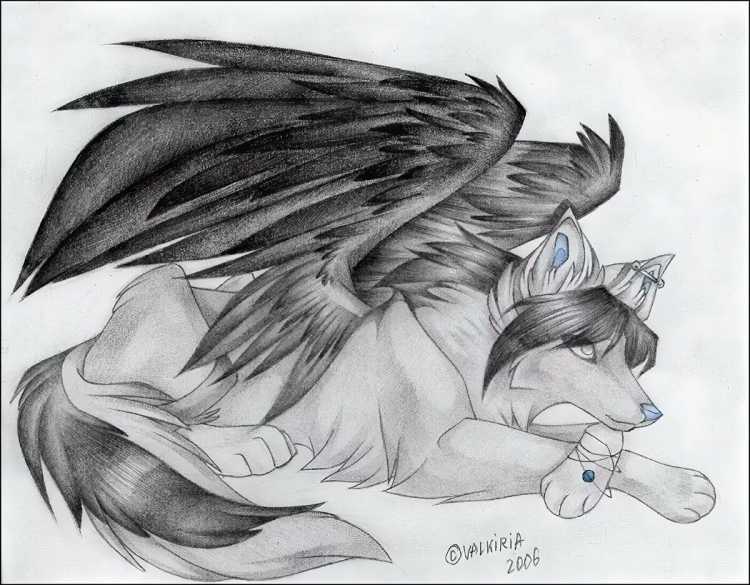 Рисунок волка для срисовки