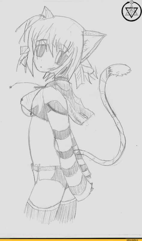 Рисунки карандашом аниме девушек кошек