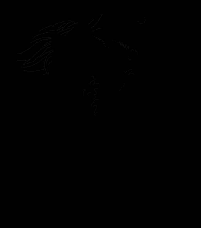 Раскраски Ван Пис Фрэнки