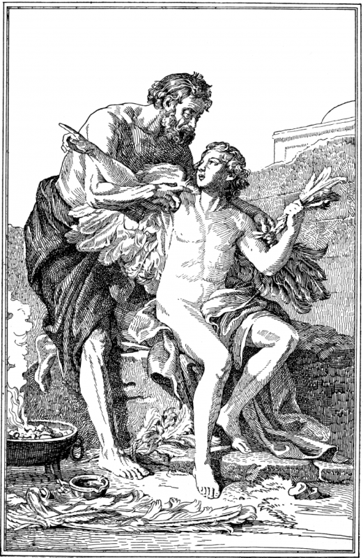 Крыло Икара