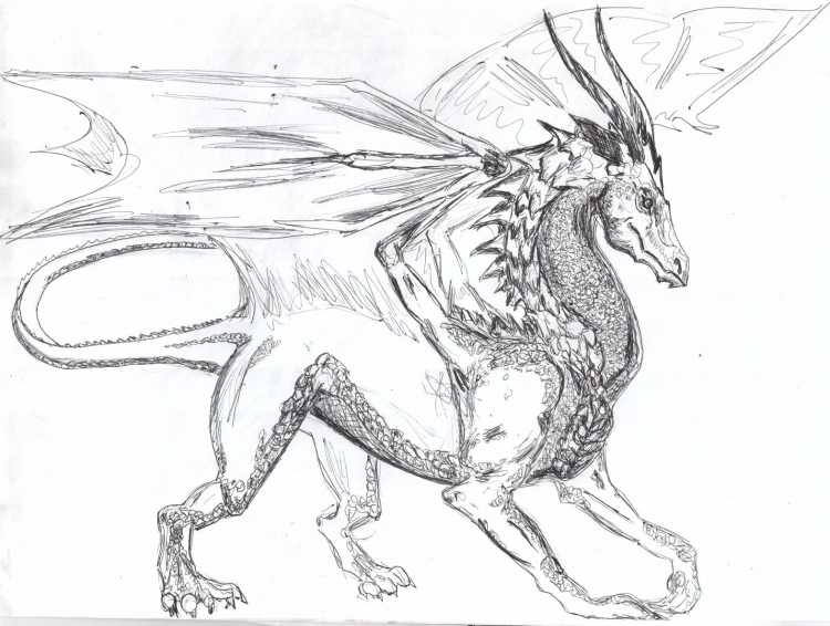 Рисунки карандашом животные драконы