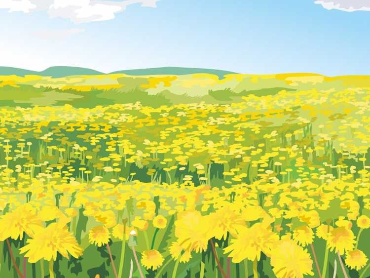 Нарисовать Цветочное поле