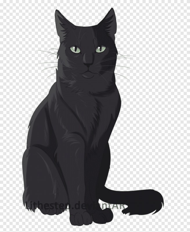 Коты Воители Черногривка