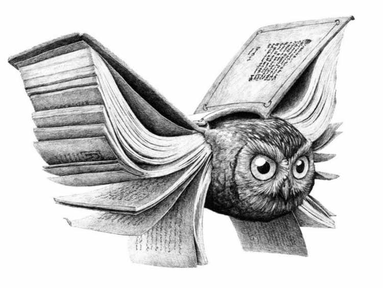 Редмер Хукстра Сова