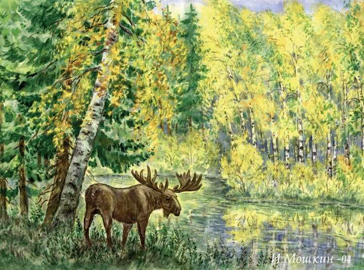 Аркадий Рылов Лесные обитатели