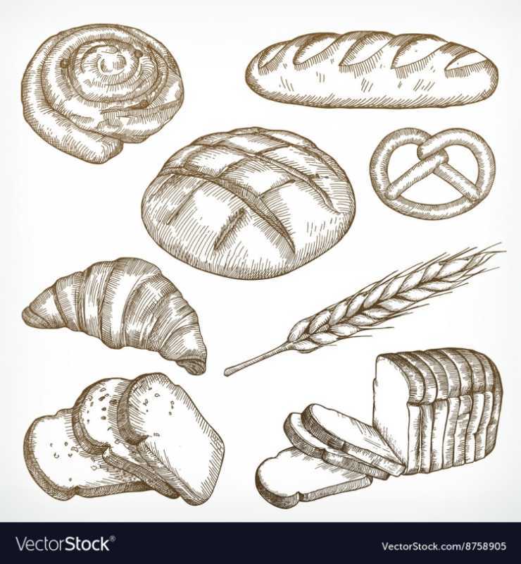 Хлеб набросок