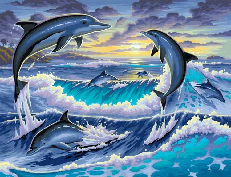 Алмазная живопись дельфины 40x50