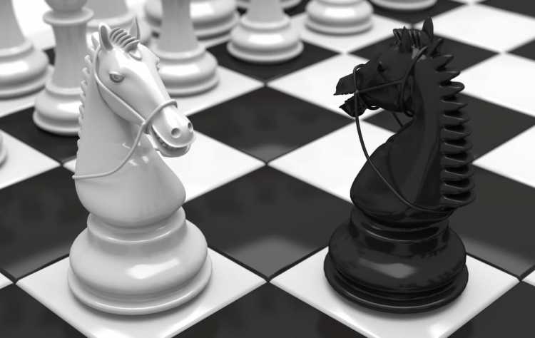 Шахматная фигура конь вектор