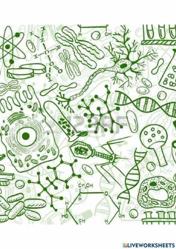 Биологические зарисовки