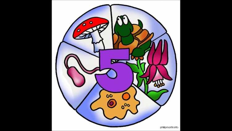 Картинки по биологии