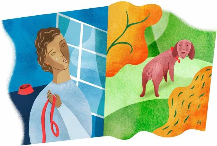 Рисунок на тему гуманное отношение к животным