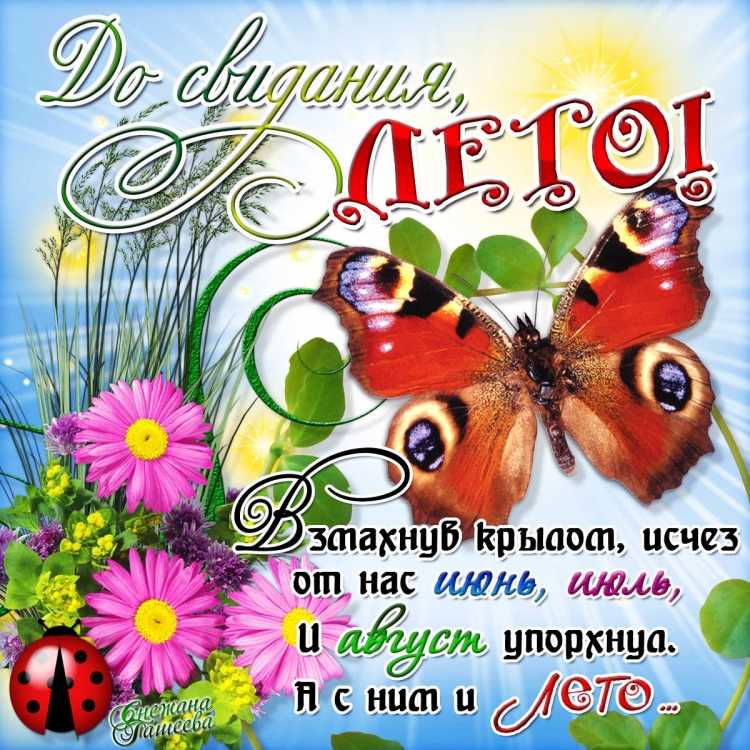 Рисунок лето